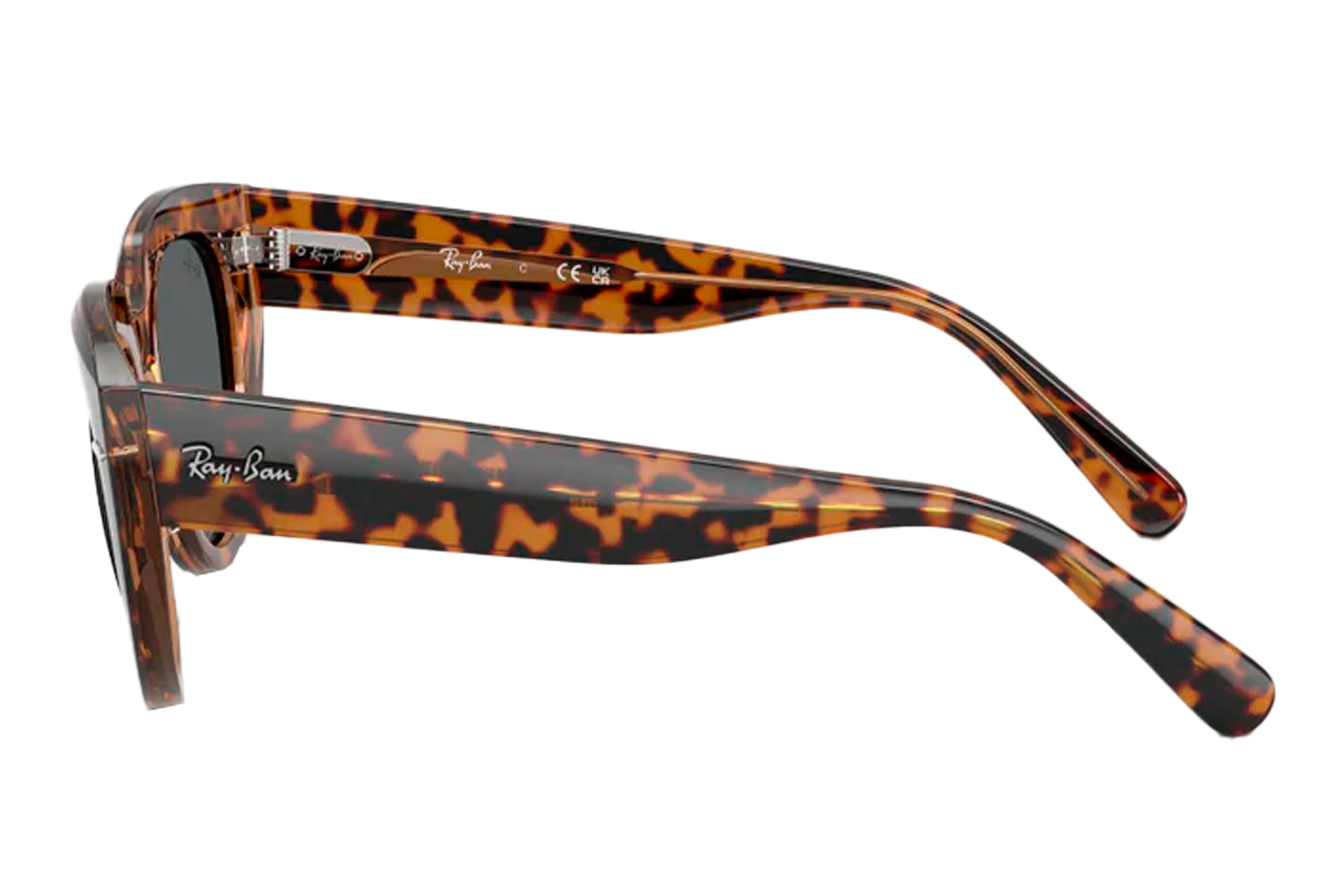 RayBan DOREEN image number 2