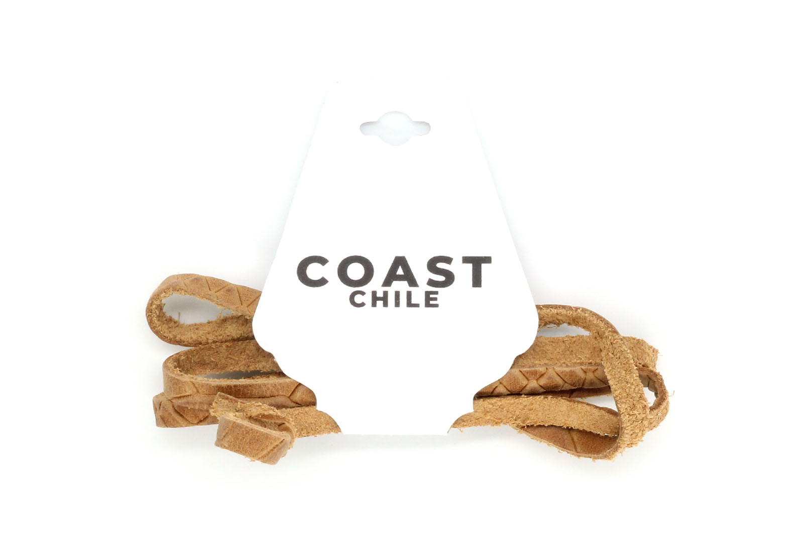Coast Chile Reptil