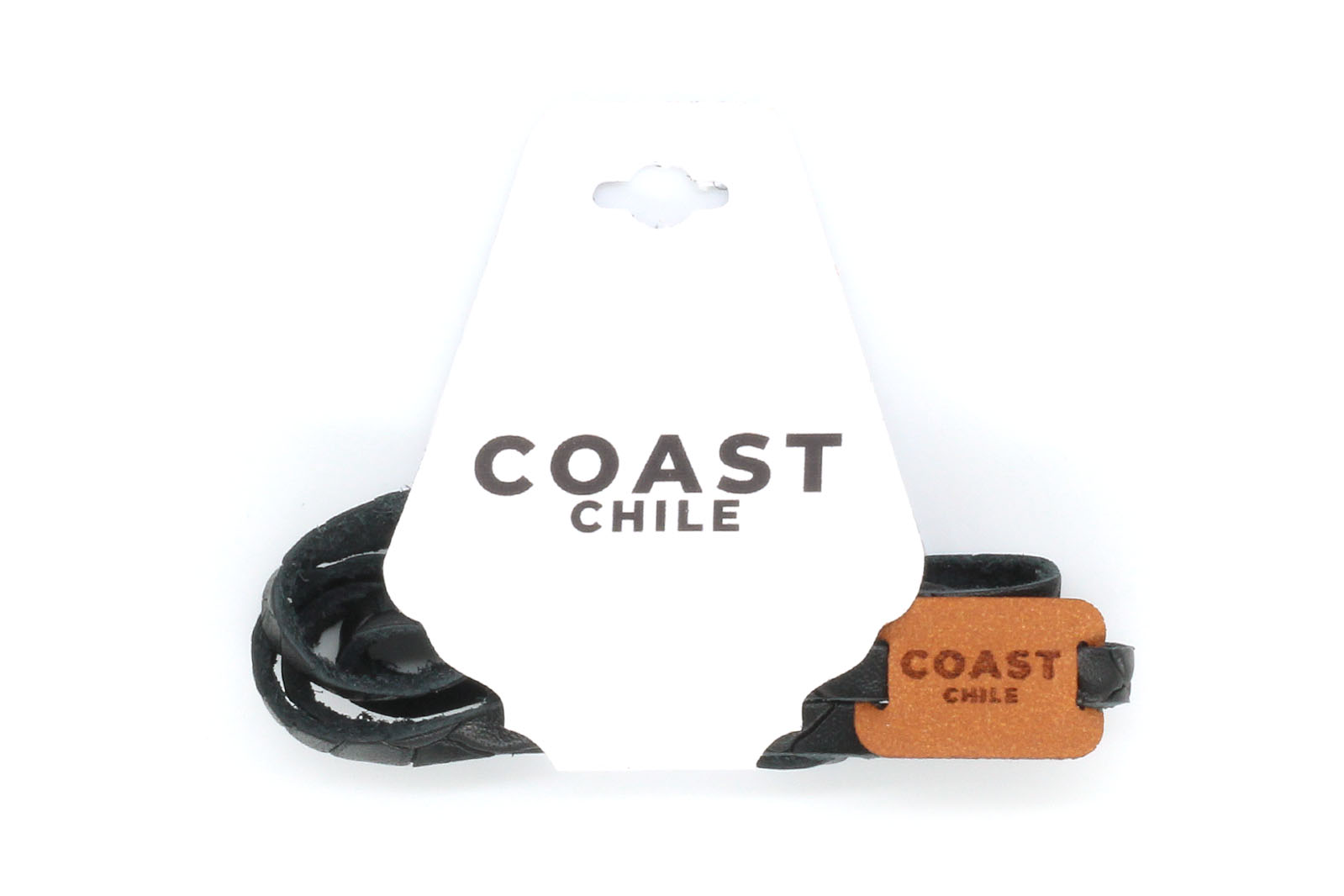 Coast Chile Reptil